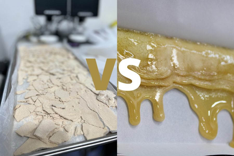 Cannabis Concentrates vs Extracts vs Separations