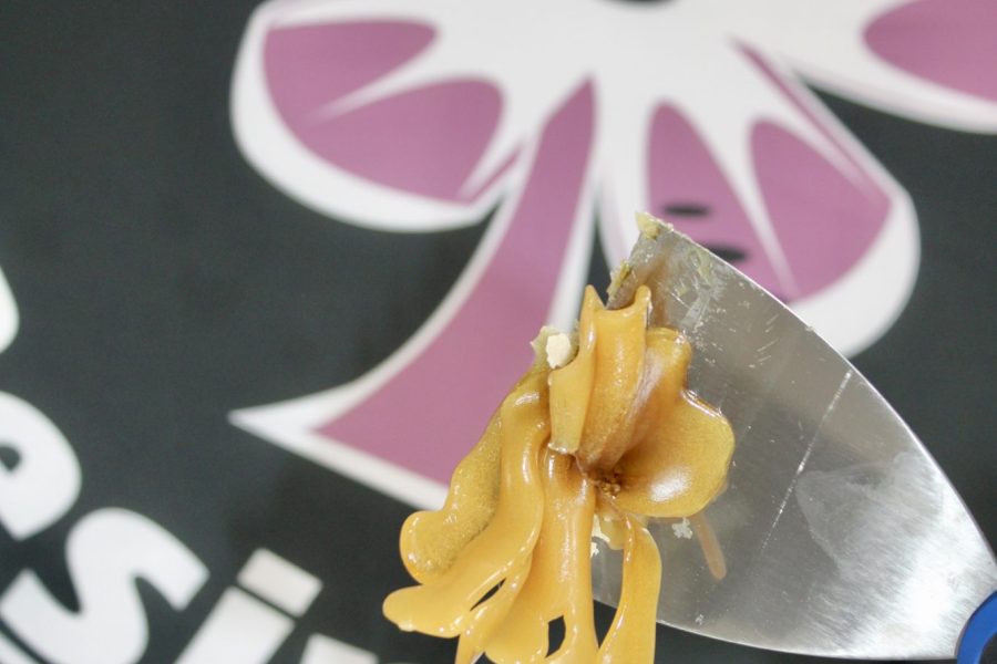 What Is Live Rosin & What Makes It So Popular?