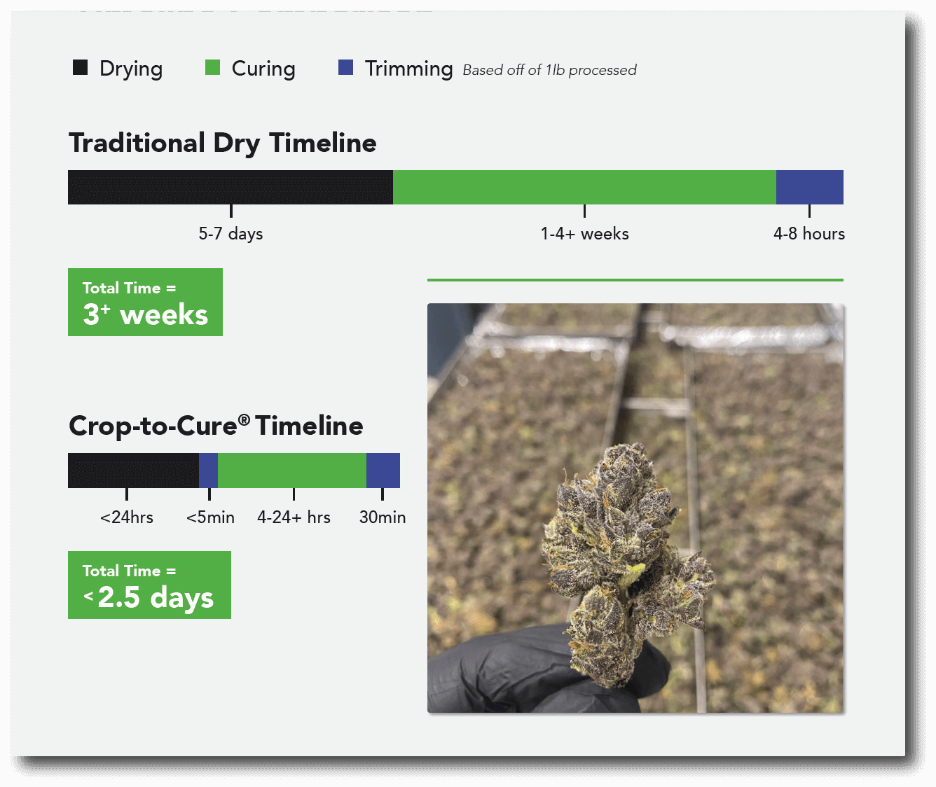 Traditional Dry Vs. Crop-To-Cure® Timeline Comparison graphic